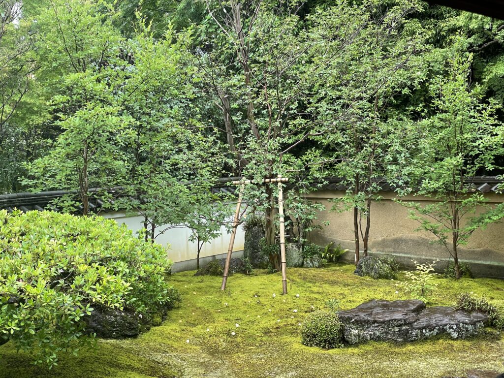 沙羅
