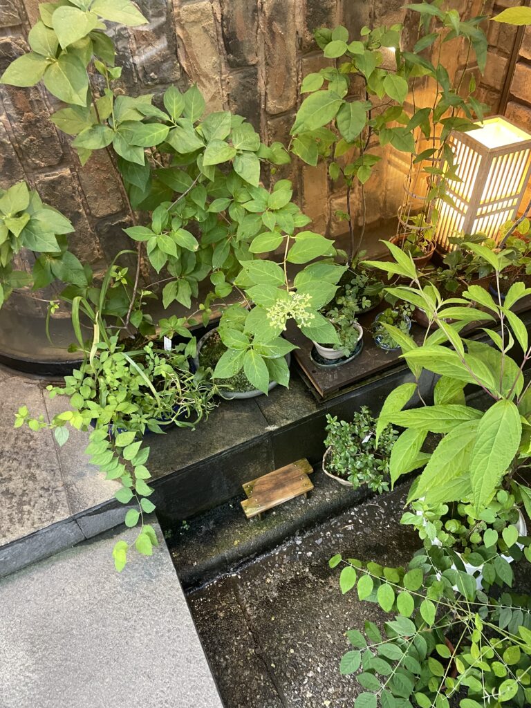 蔵