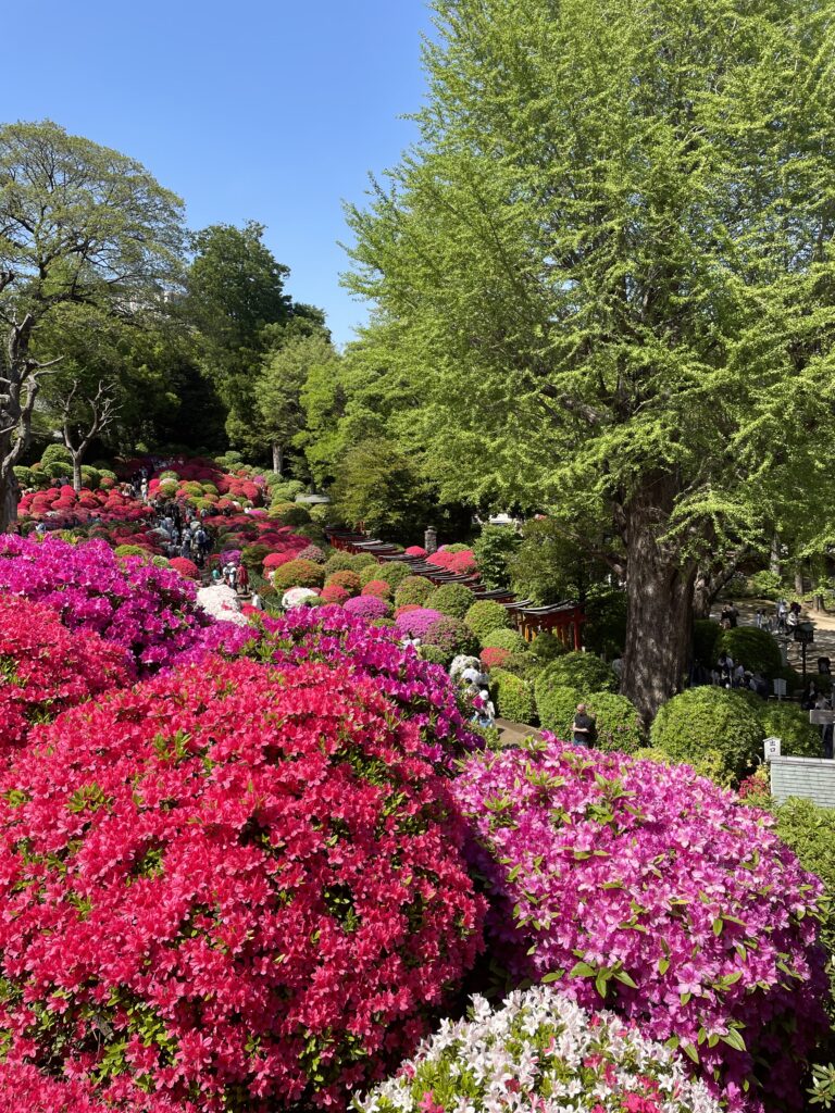 つつじ苑